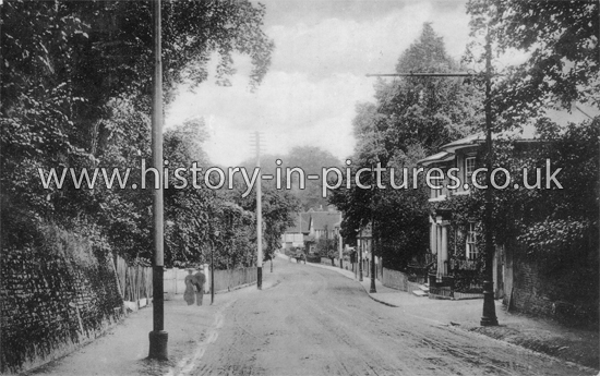 The Village, Looking West, Lexden, Essex. c.1905